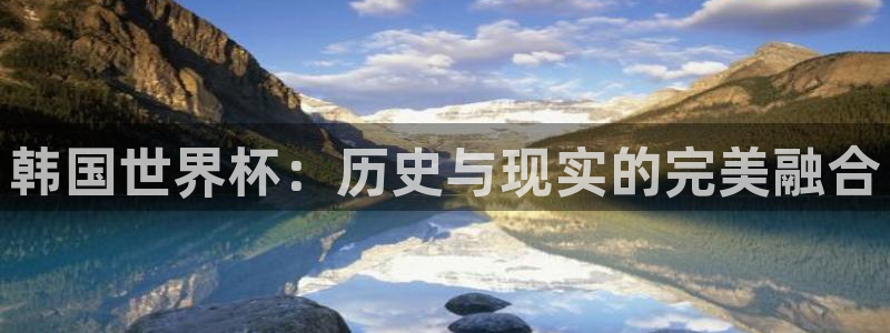 2026世界杯德国队阵容：韩国世界杯：历史与现实的完美融合
