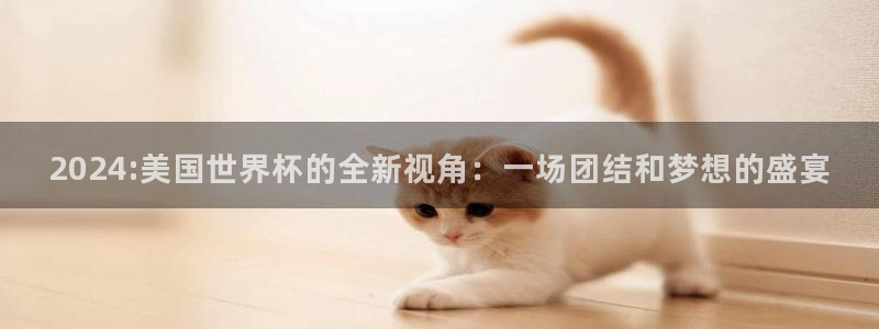 葡萄牙世界杯赛程：2024:美国世界杯的全新视角：一场团结和梦想的盛宴