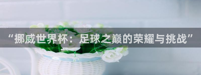 2026世界杯买球：“挪威世界杯：足球之巅的荣耀与挑战”