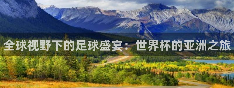 免费看足球直播比赛：全球视野下的足球盛宴：世界杯的亚洲之旅