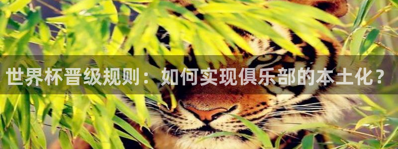 世界杯欧洲区预选赛赛程：世界杯晋级规则：如何实现俱乐部的本土化？