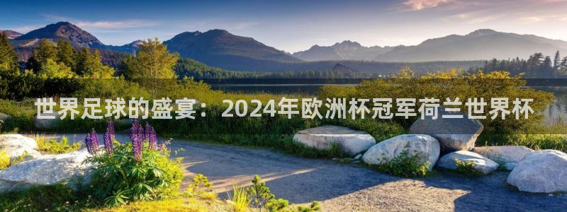 世界杯足球：世界足球的盛宴：2024年欧洲杯冠军荷兰世界杯