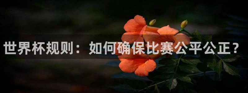 看世界杯：世界杯规则：如何确保比赛公平公正？