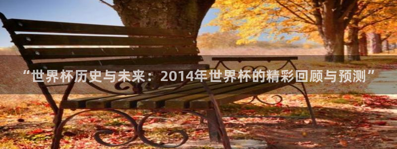 欧洲世界杯预选赛赛程：“世界杯历史与未来：2014年世界杯的精彩回顾与预测”