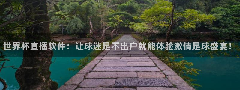 预选赛世界杯：世界杯直播软件：让球迷足不出户就能体验激情足球盛宴！