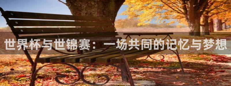 世界杯球队：世界杯与世锦赛：一场共同的记忆与梦想
