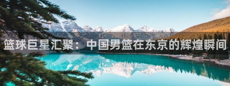 2026世界杯官网：篮球巨星汇聚：中国男篮在东京的辉煌瞬间