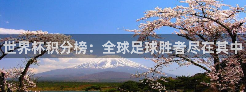 世界杯：世界杯积分榜：全球足球胜者尽在其中