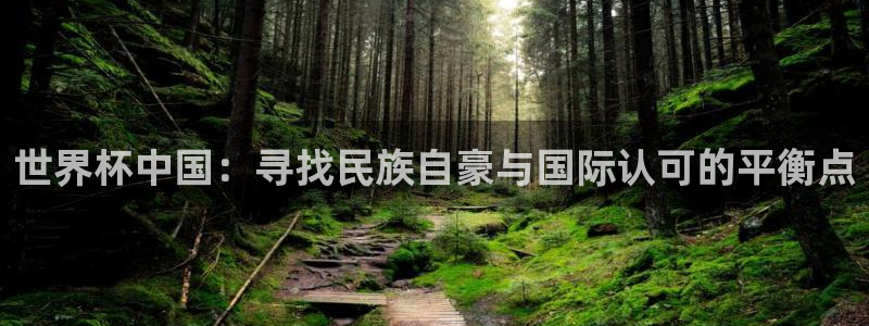 世预赛直播：世界杯中国：寻找民族自豪与国际认可的平衡点