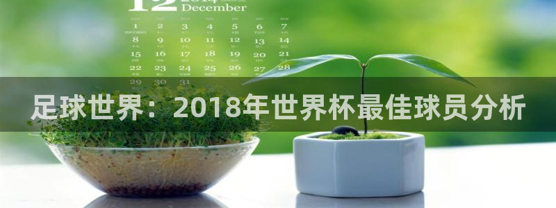 2026年世界杯对阵图：足球世界：2018年世界杯最佳球员分析