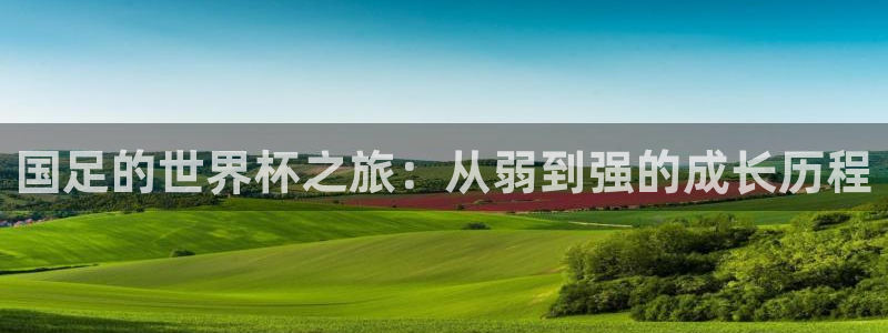 世界杯系列赛：国足的世界杯之旅：从弱到强的成长历程